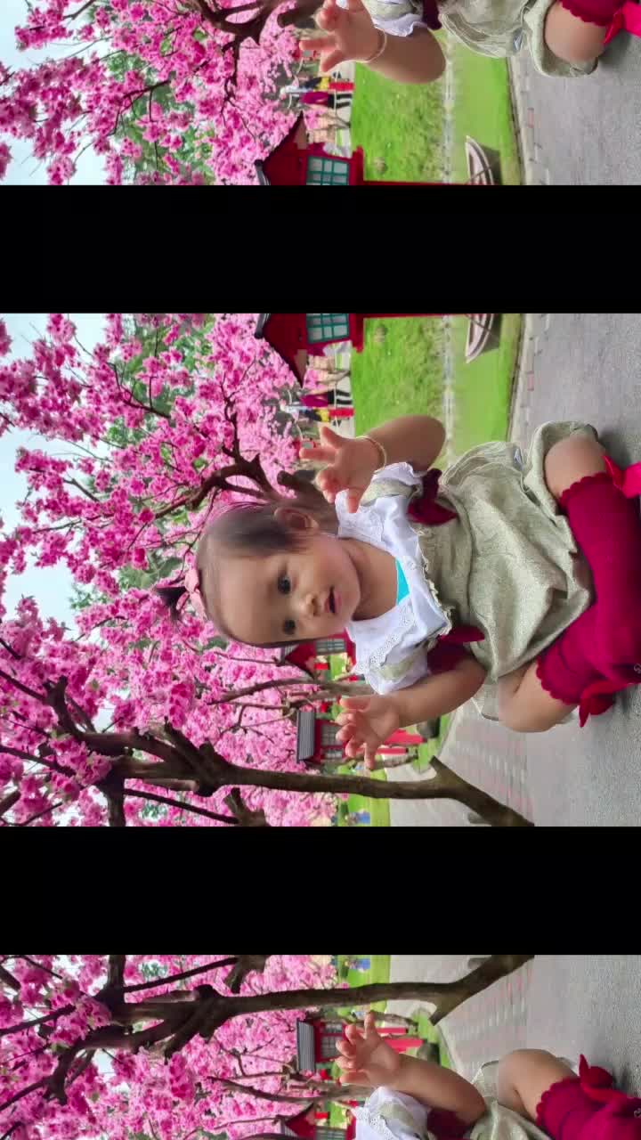 @noor_taif_ksa