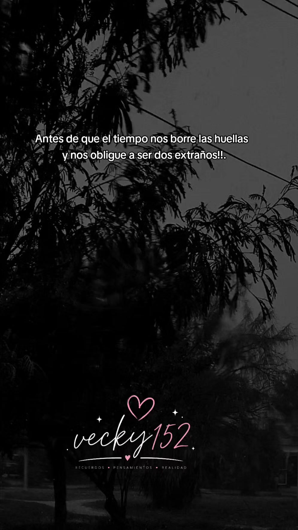 @vecky