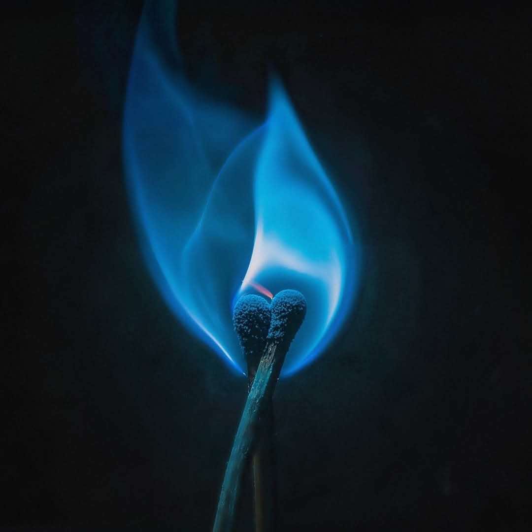 @🖤💙bellav0id💛🖤