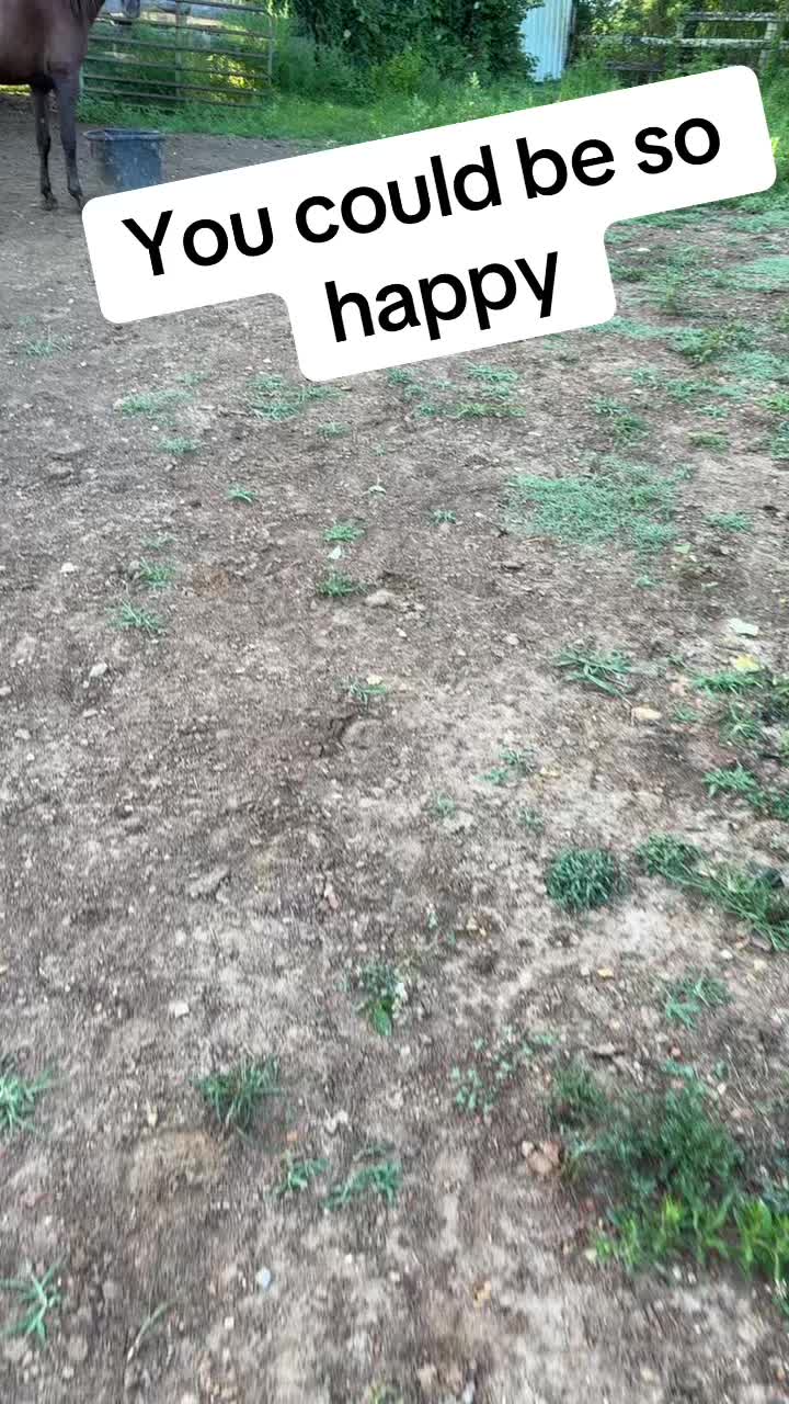 @Countree1978