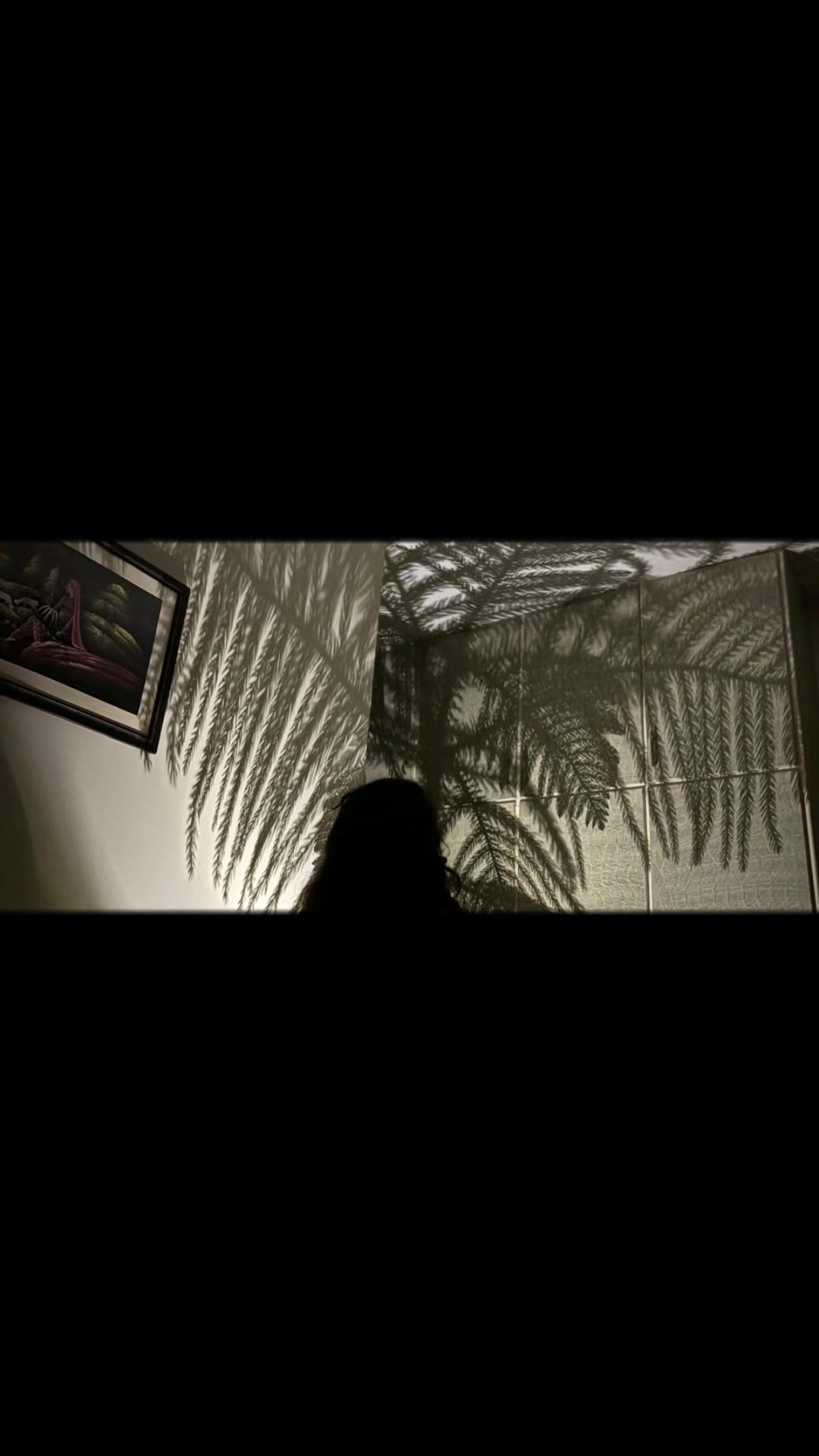 @Mokibud
