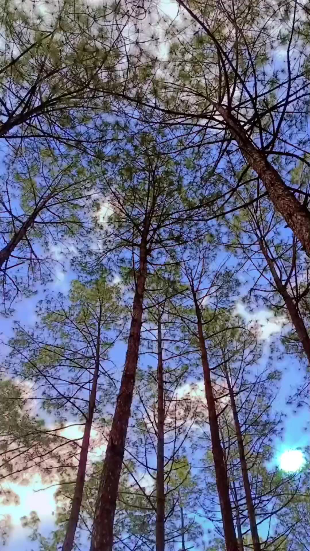 @प्यारो मान्छे✅😘🇳🇵😘✅