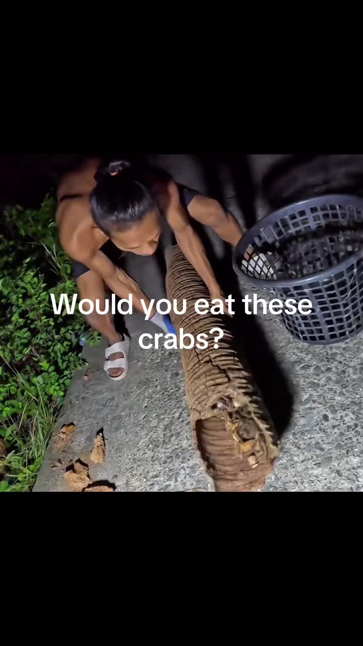 @fishy7780
