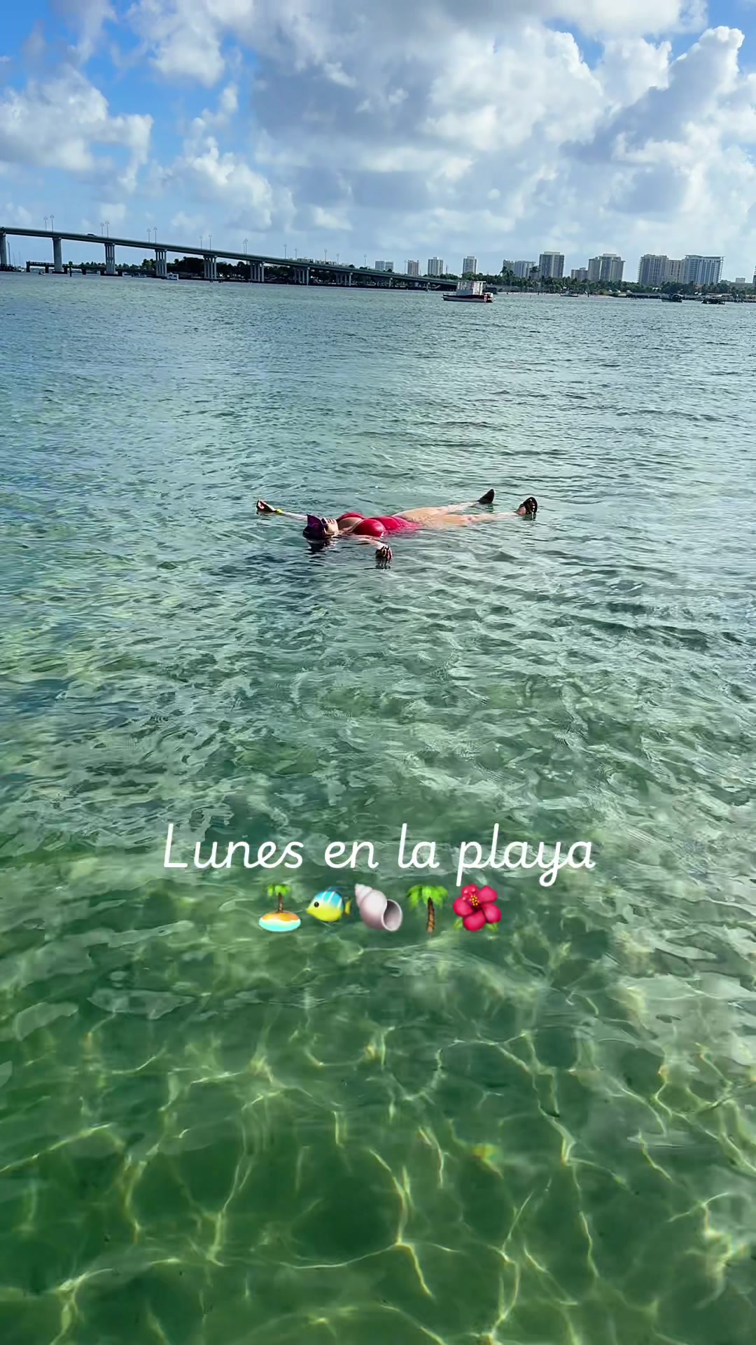 @Sheyla Vernice 🌺🌴🐠🐚