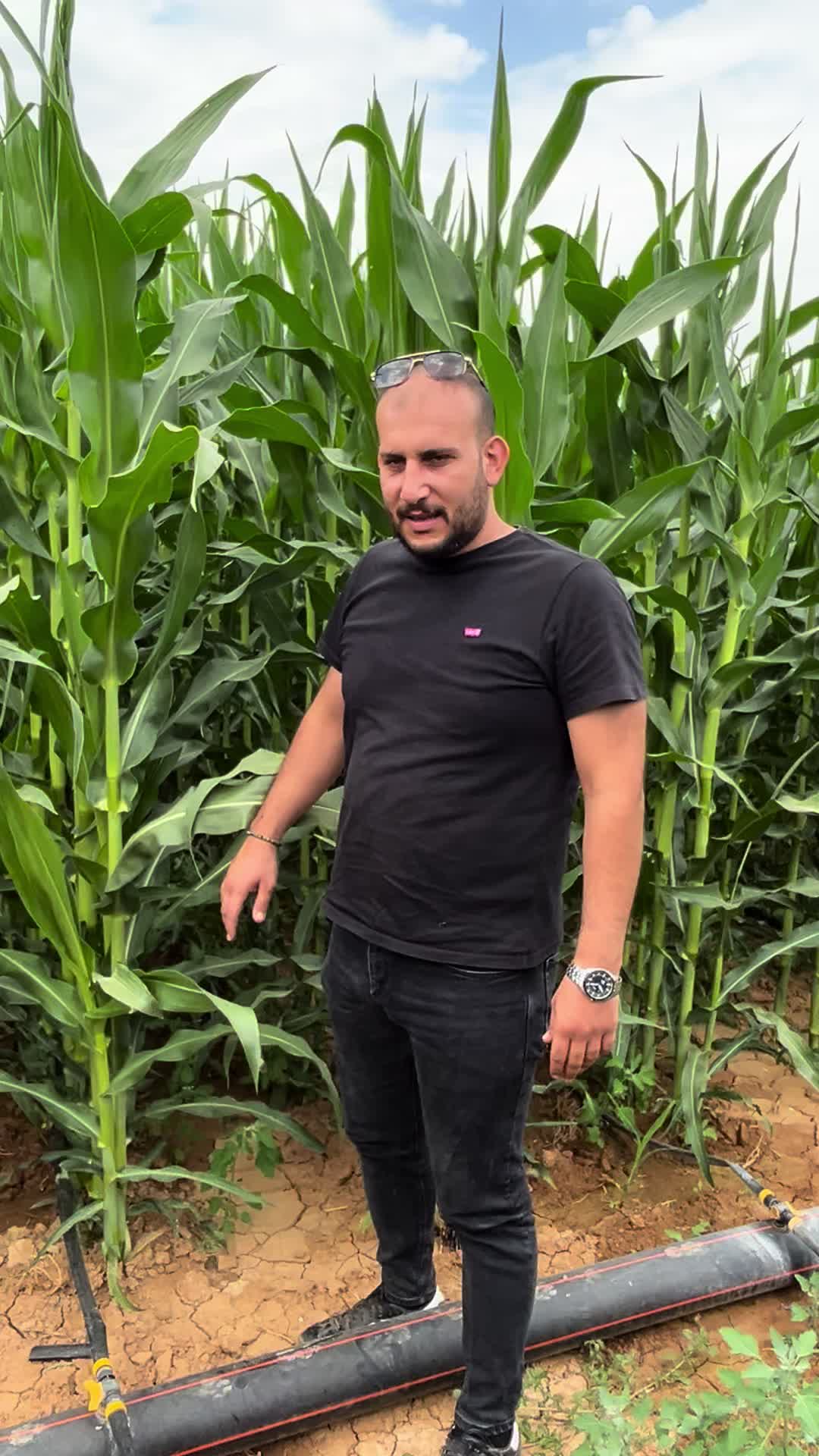 @AGROŞİMŞEK TARIM &Uuml;R&Uuml;NLERİ