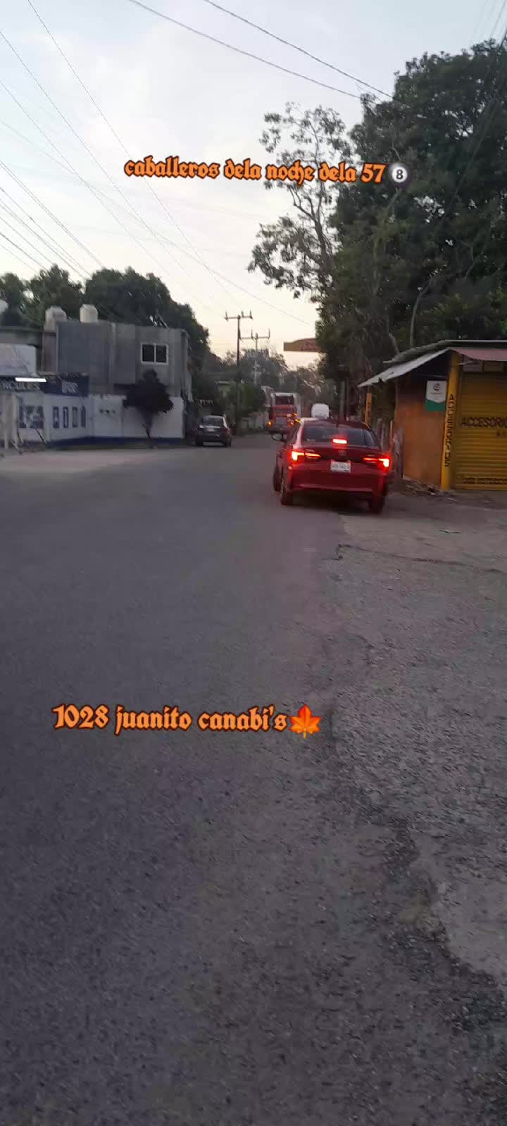 @1028gallito🐓❤️