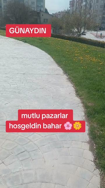 @🦂 GÜNEŞ 🦂