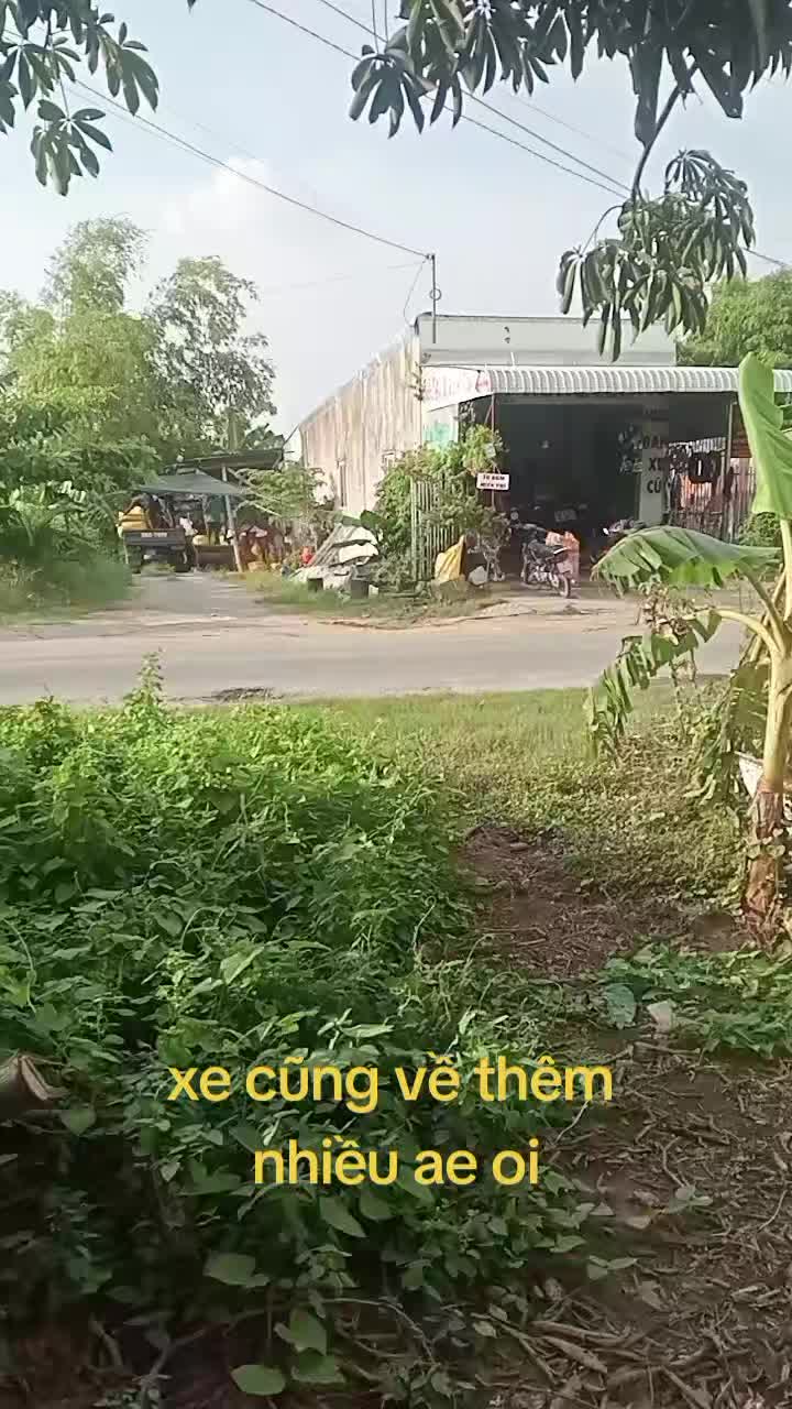 @CKP