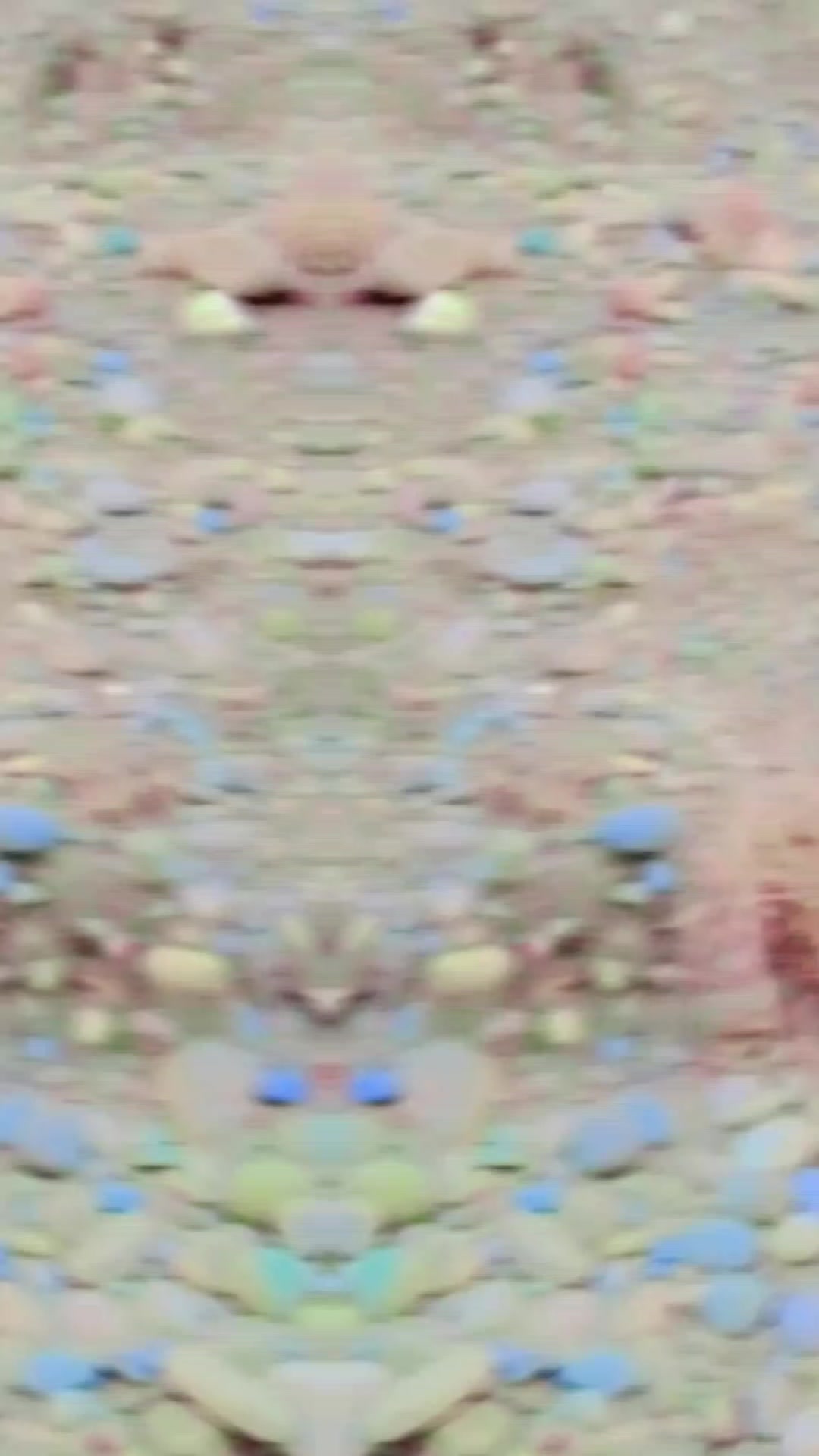@๐ช๐ช๐ช๐ช๐ช๐ช๐ชุนุงู
ุฑ ู
ฺูฉ