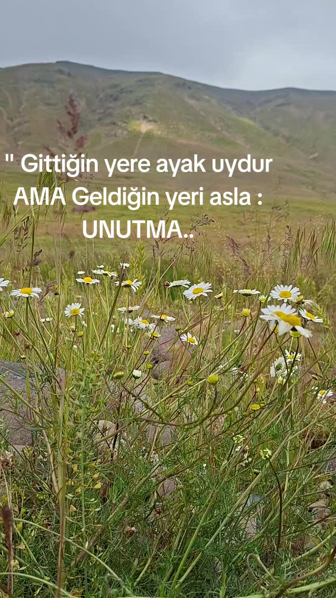 @🔵꧁⁷⁶O.bİr ığdirli⁷⁶꧂🔵
