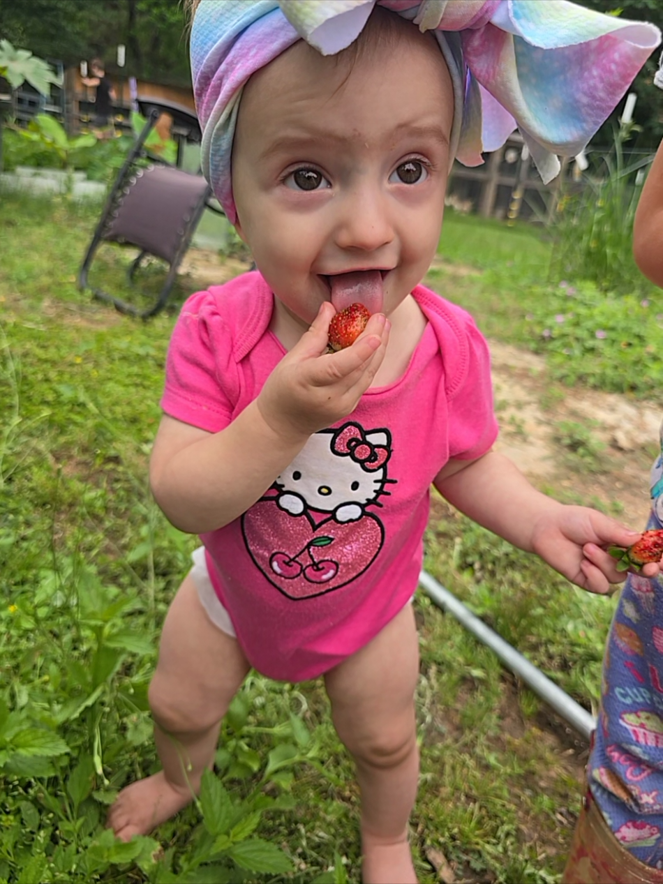 @Fairytale Farm