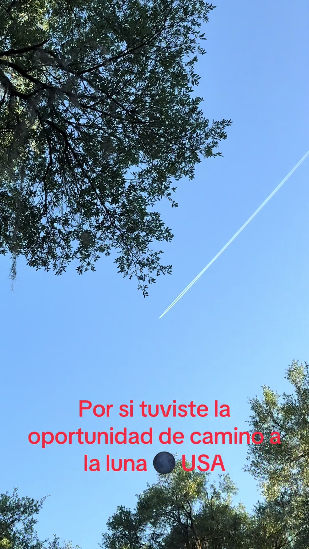 @Merino De Tania