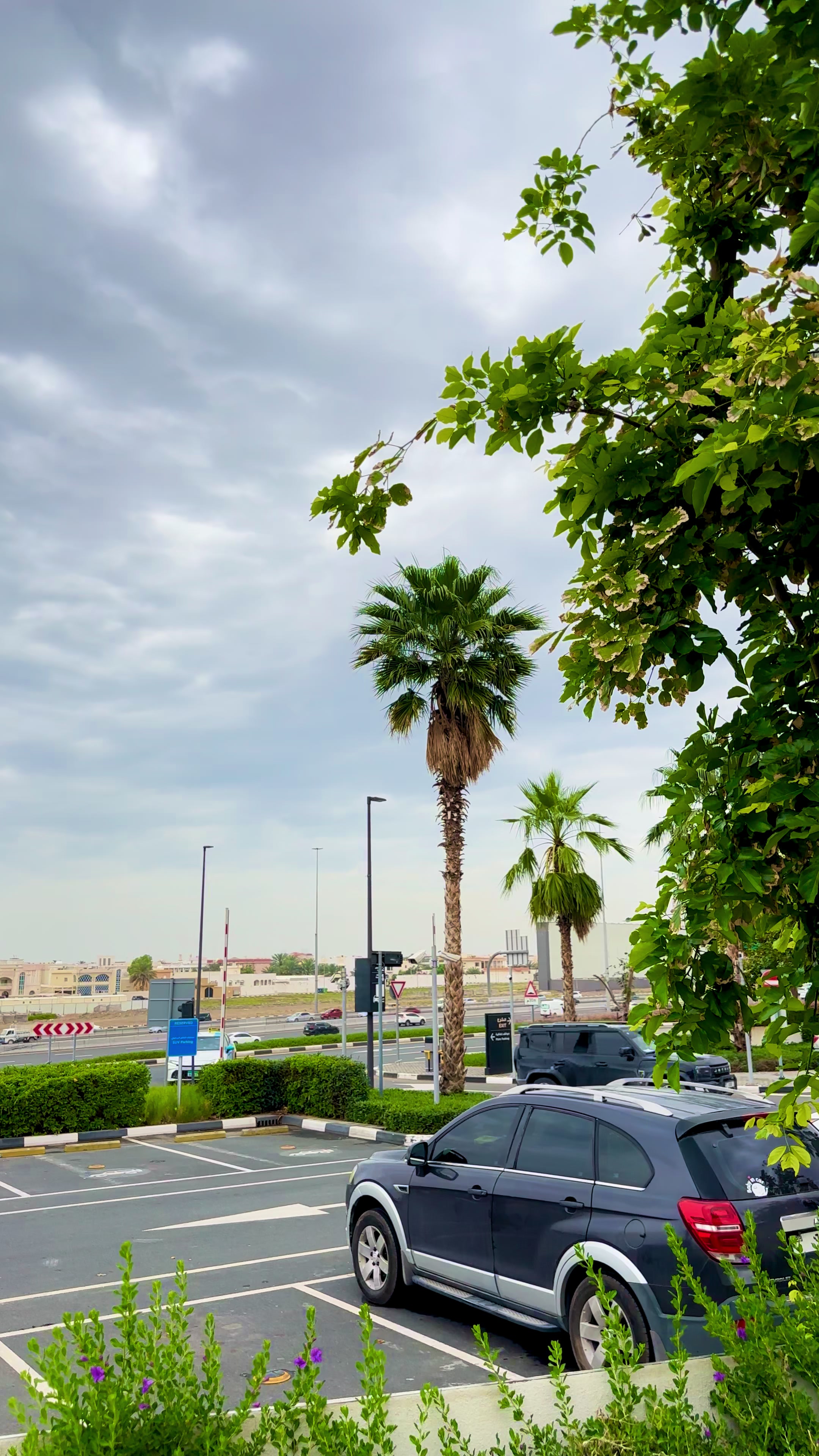 @thehammadgillani