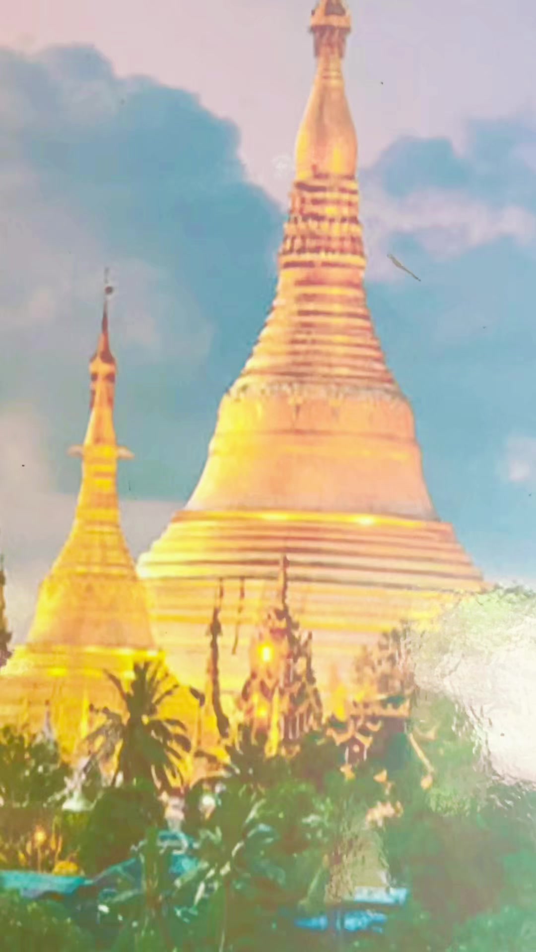 @🦋ပန်းနု🩵
