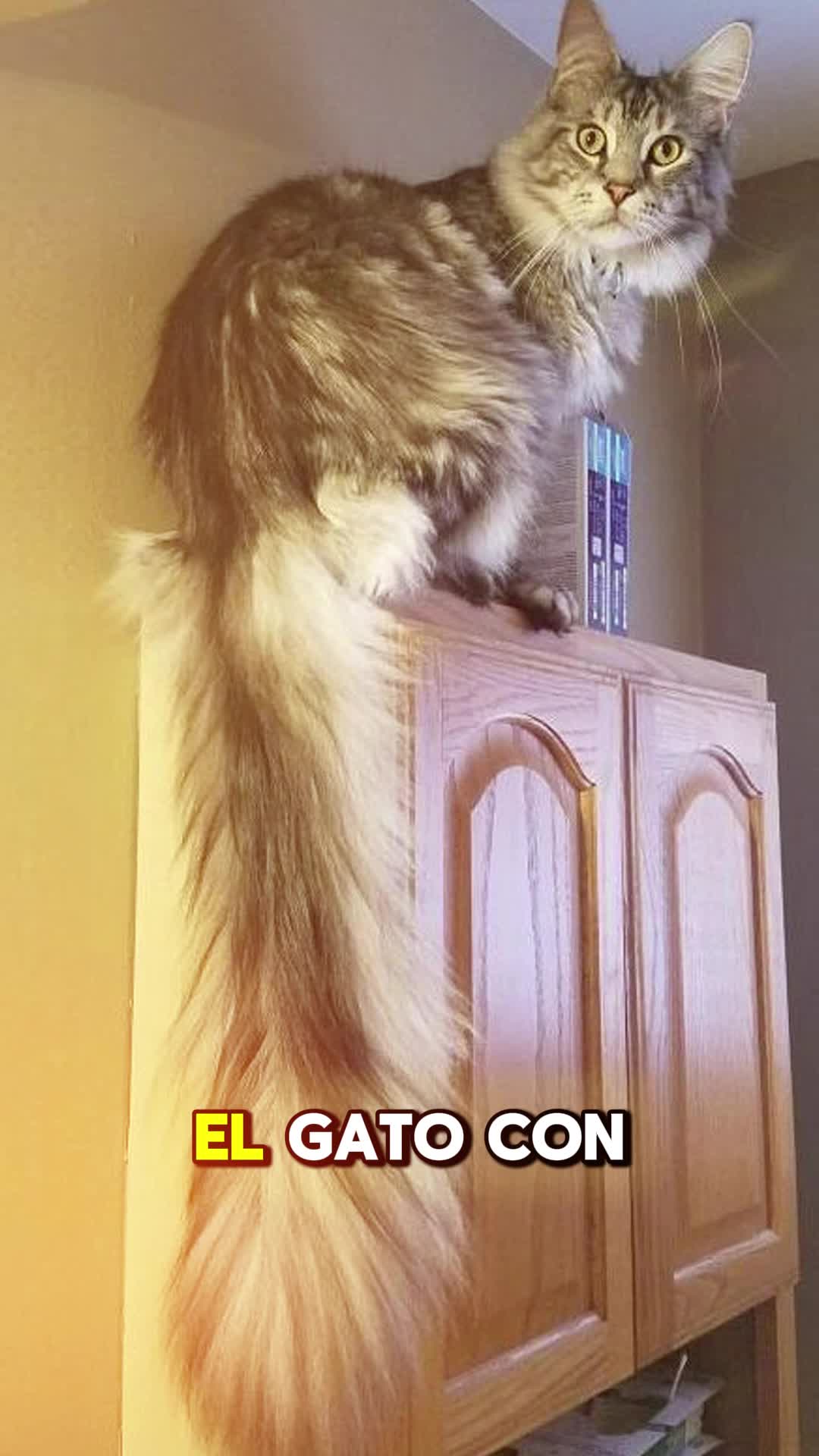 @alejandriguez