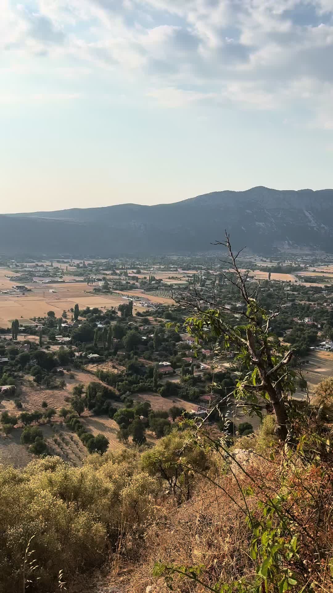 @Ali Rıza çakal