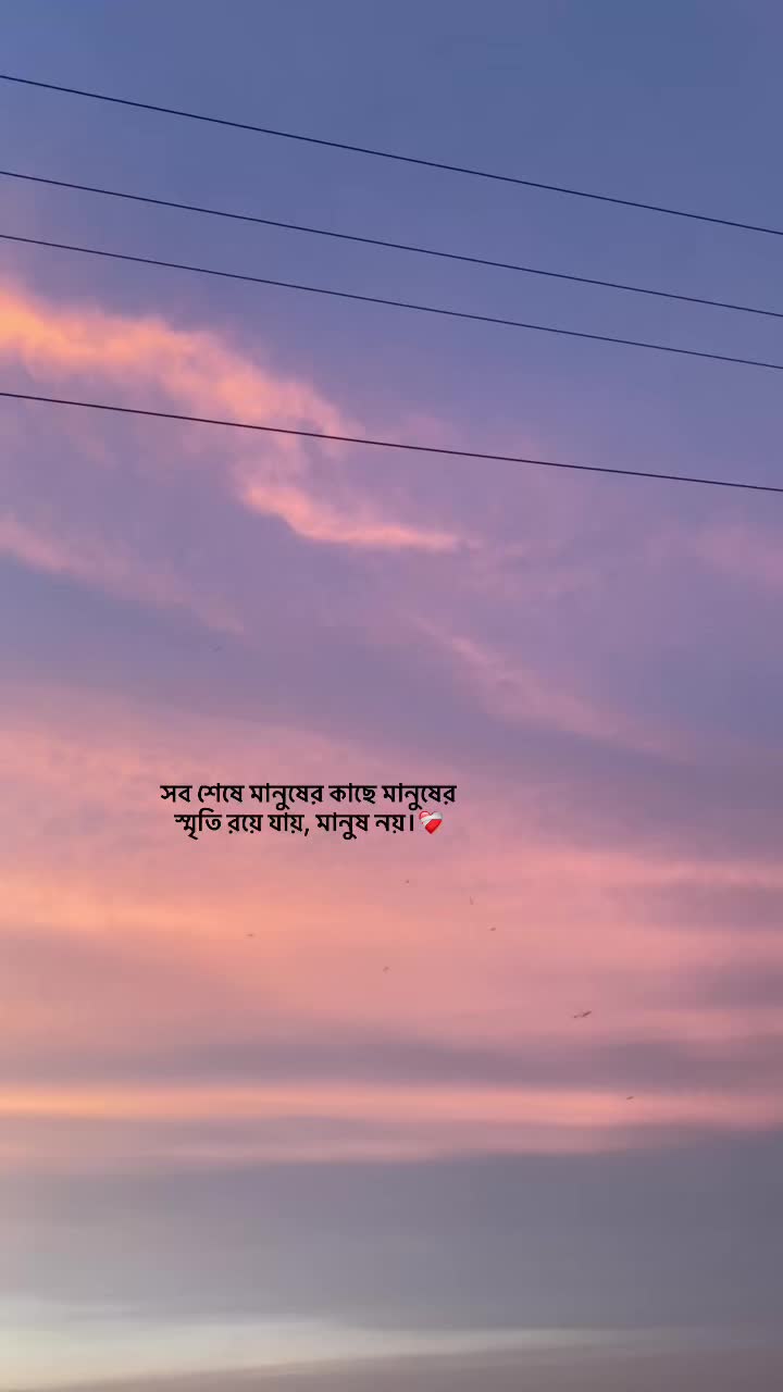 @S O J I B