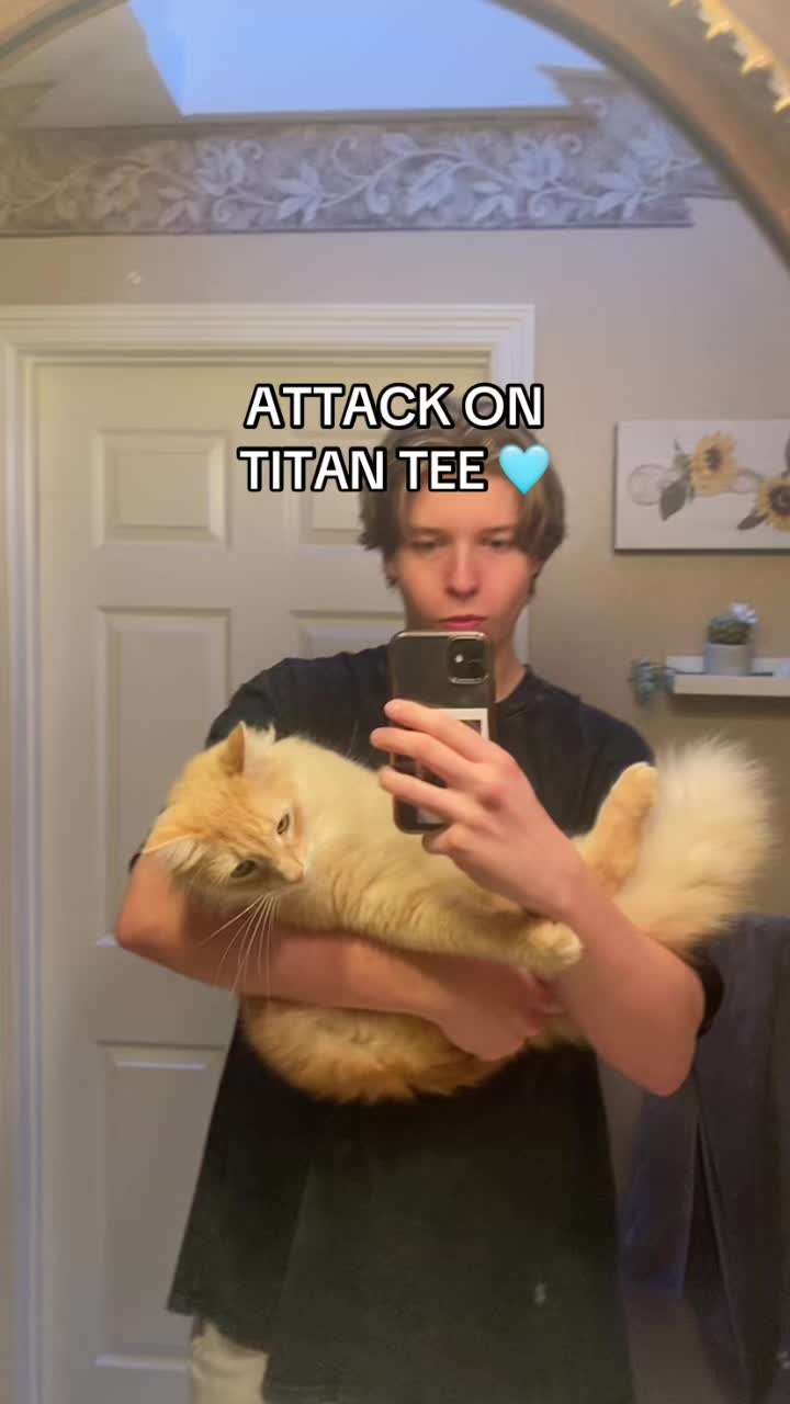 @zz