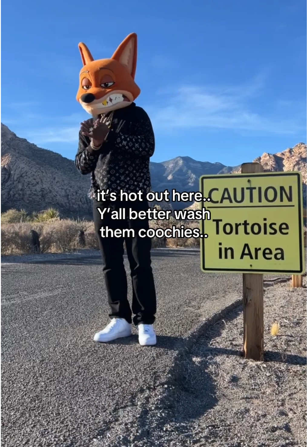 @Silky The Fox
