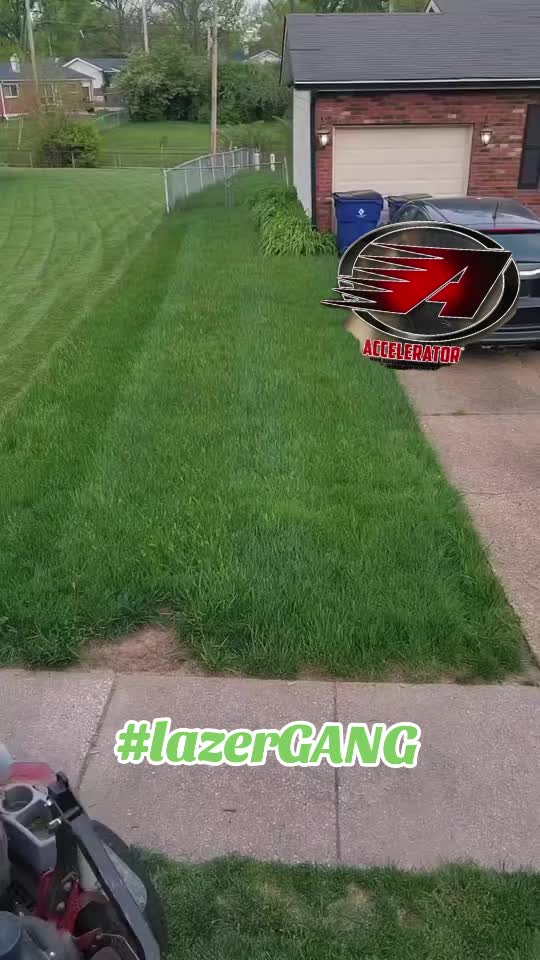 @Stripeleader