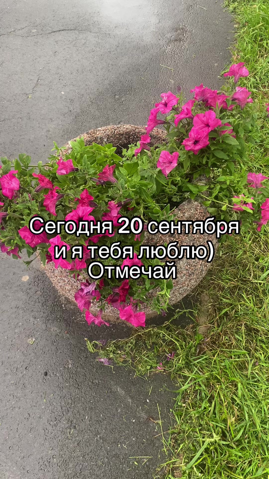 @Данил