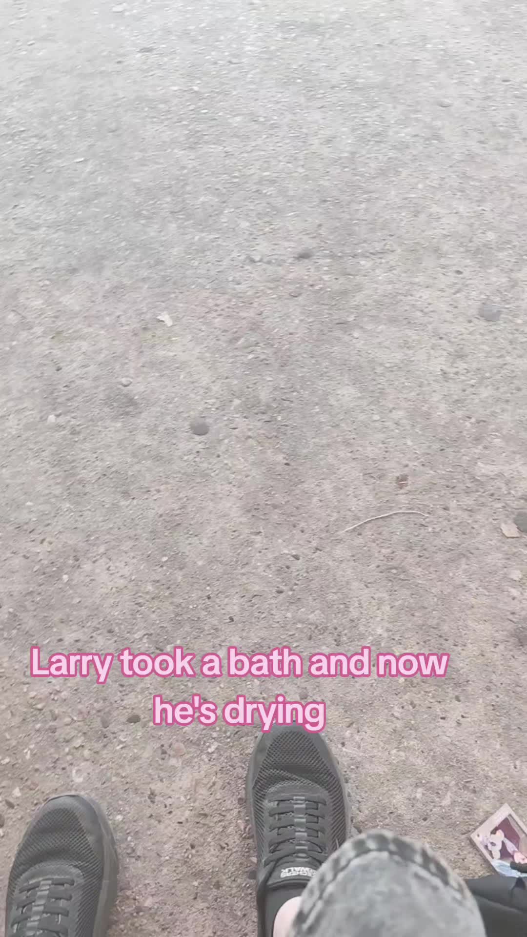 @GEORGE!!-🦭 (Larry's husband)