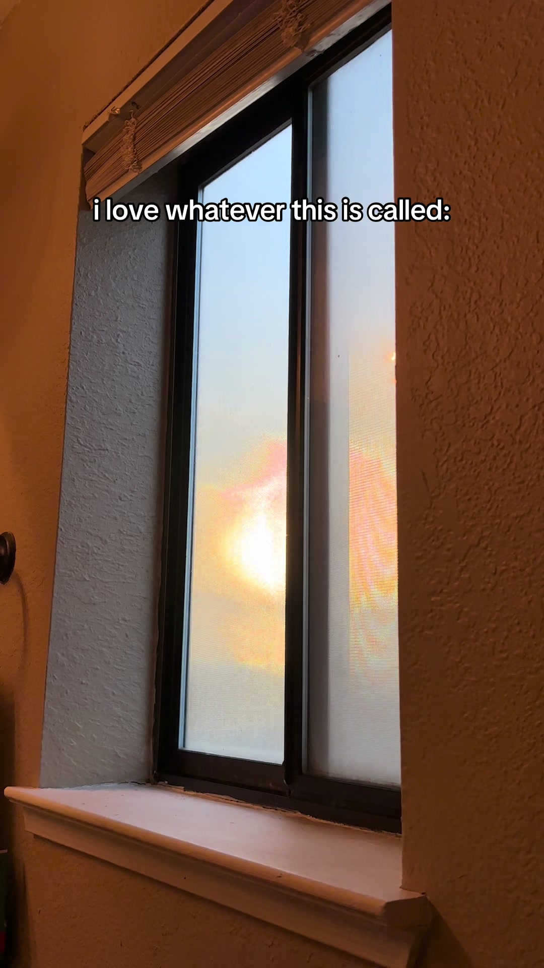 @dev