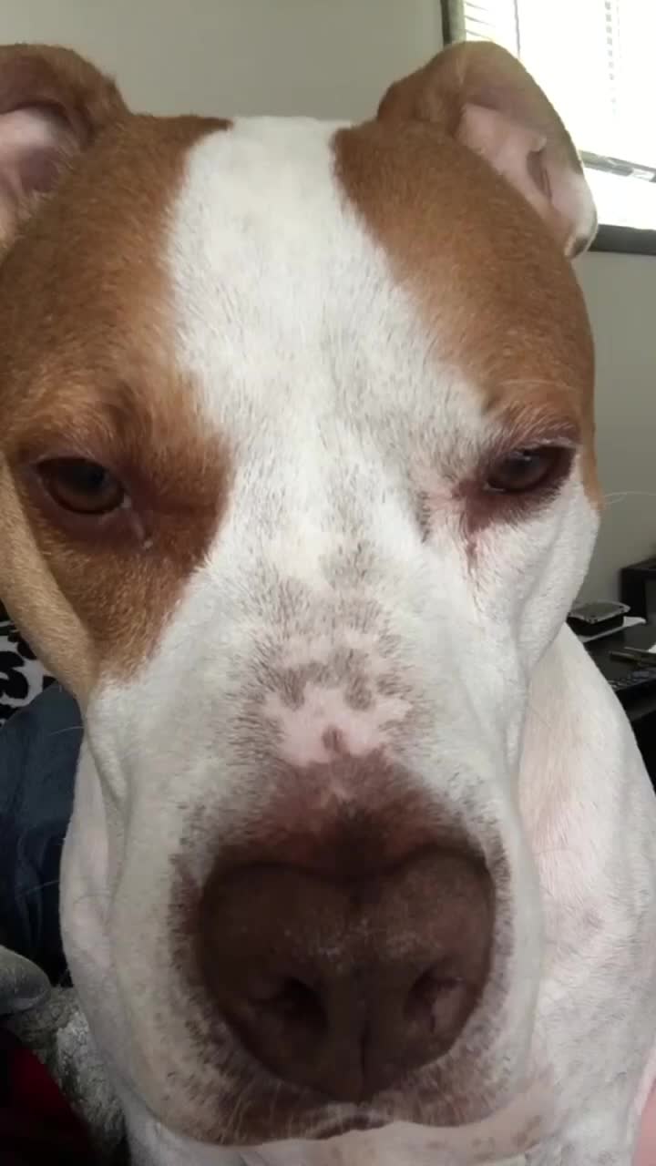 @Ar2roTV