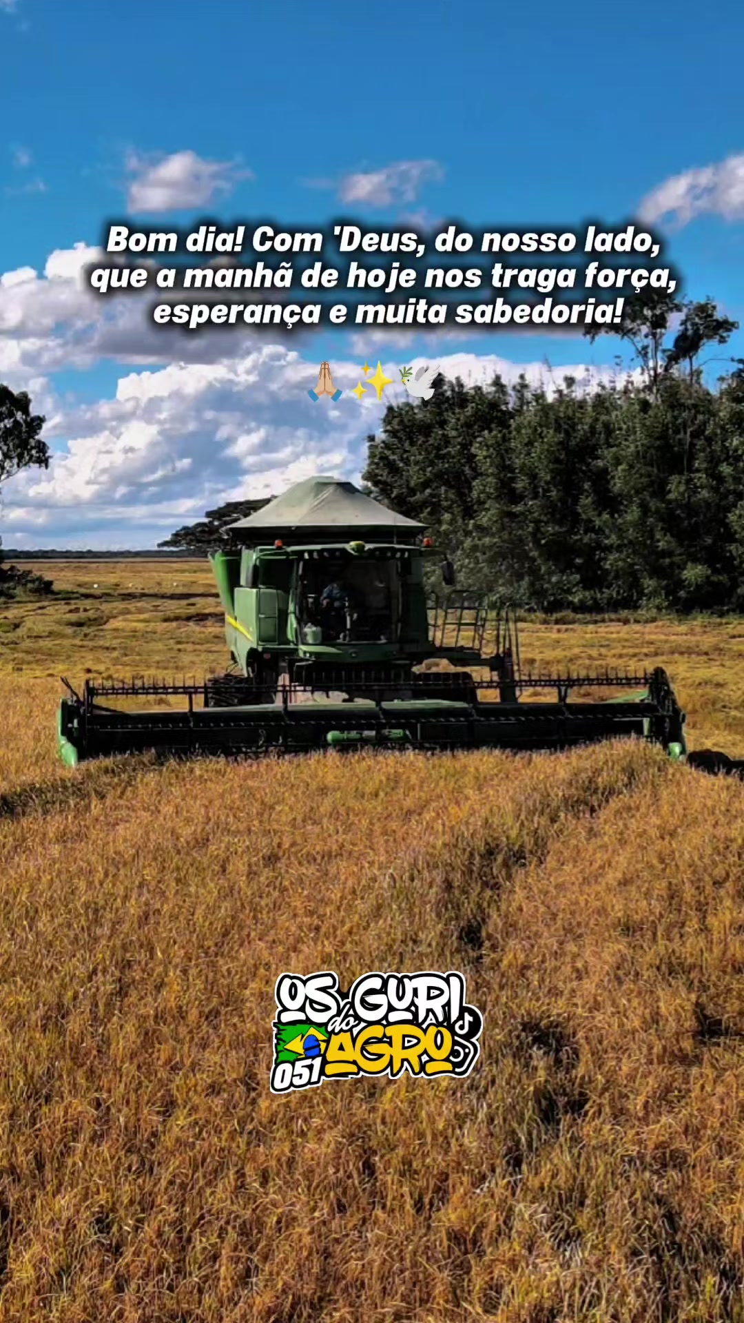 @osguridoagro051