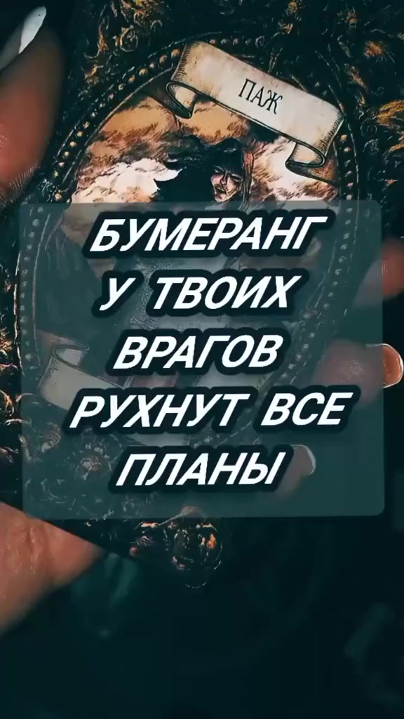 @tarolog_luba