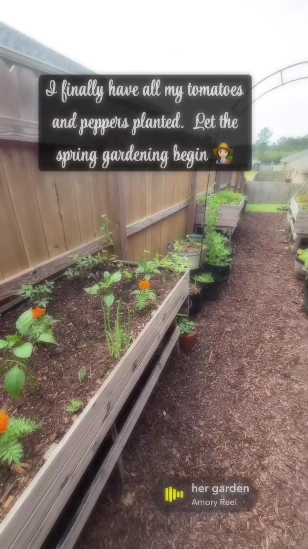 @👩🏻🌾 Hiba’s Garden🪴🌻