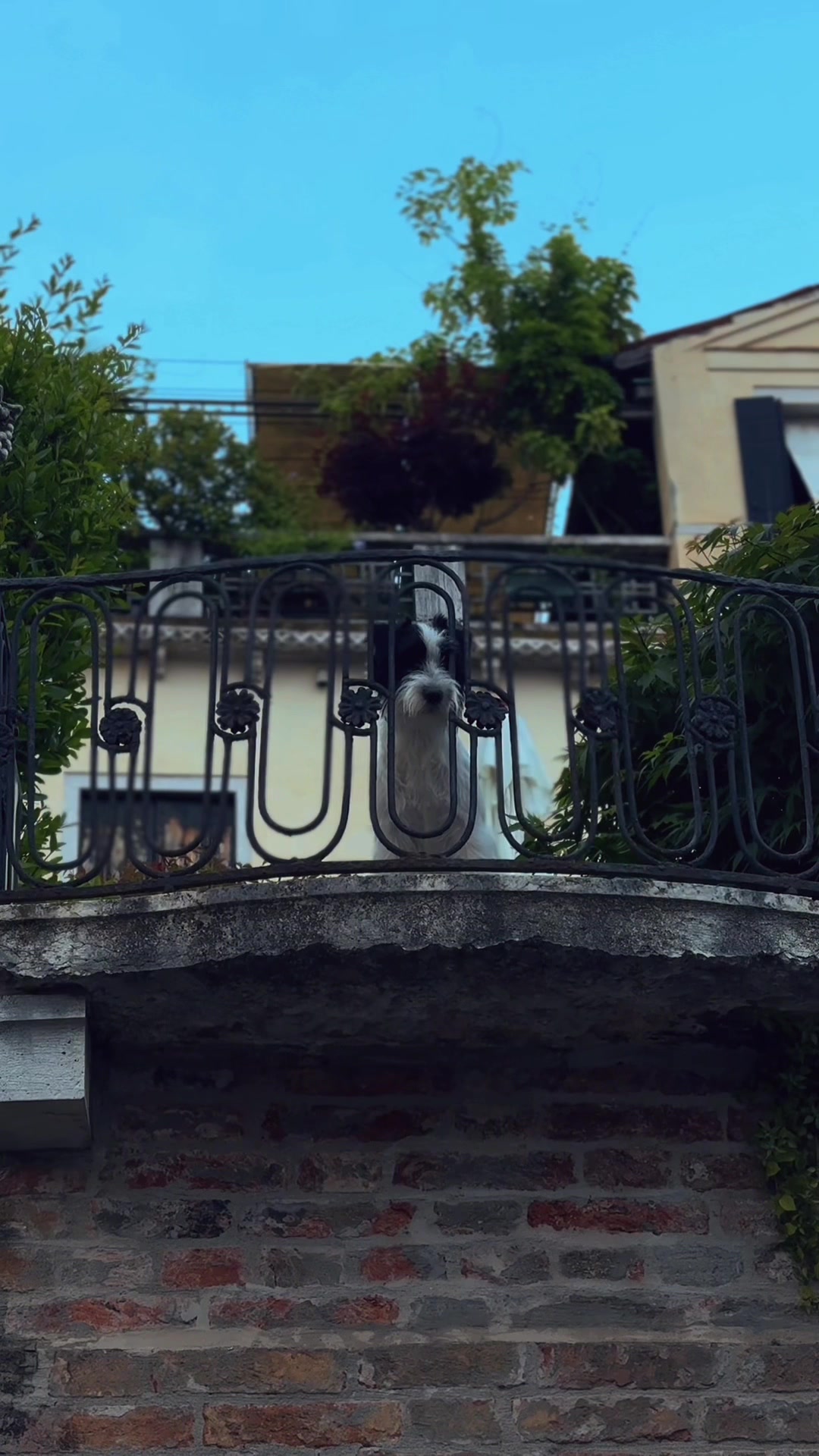 @Николай Савчук