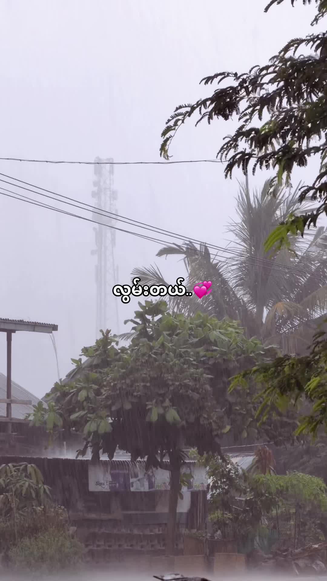 @𝐊𝐨🪐𝐒𝐡𝐢𝐧𝐞(Official3.3M)