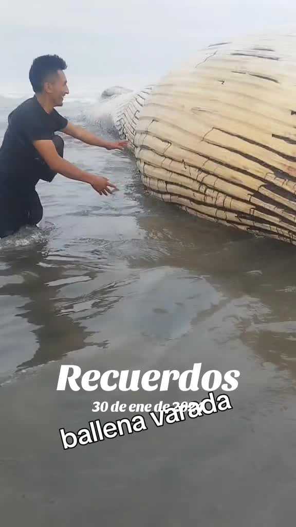 @richardime05