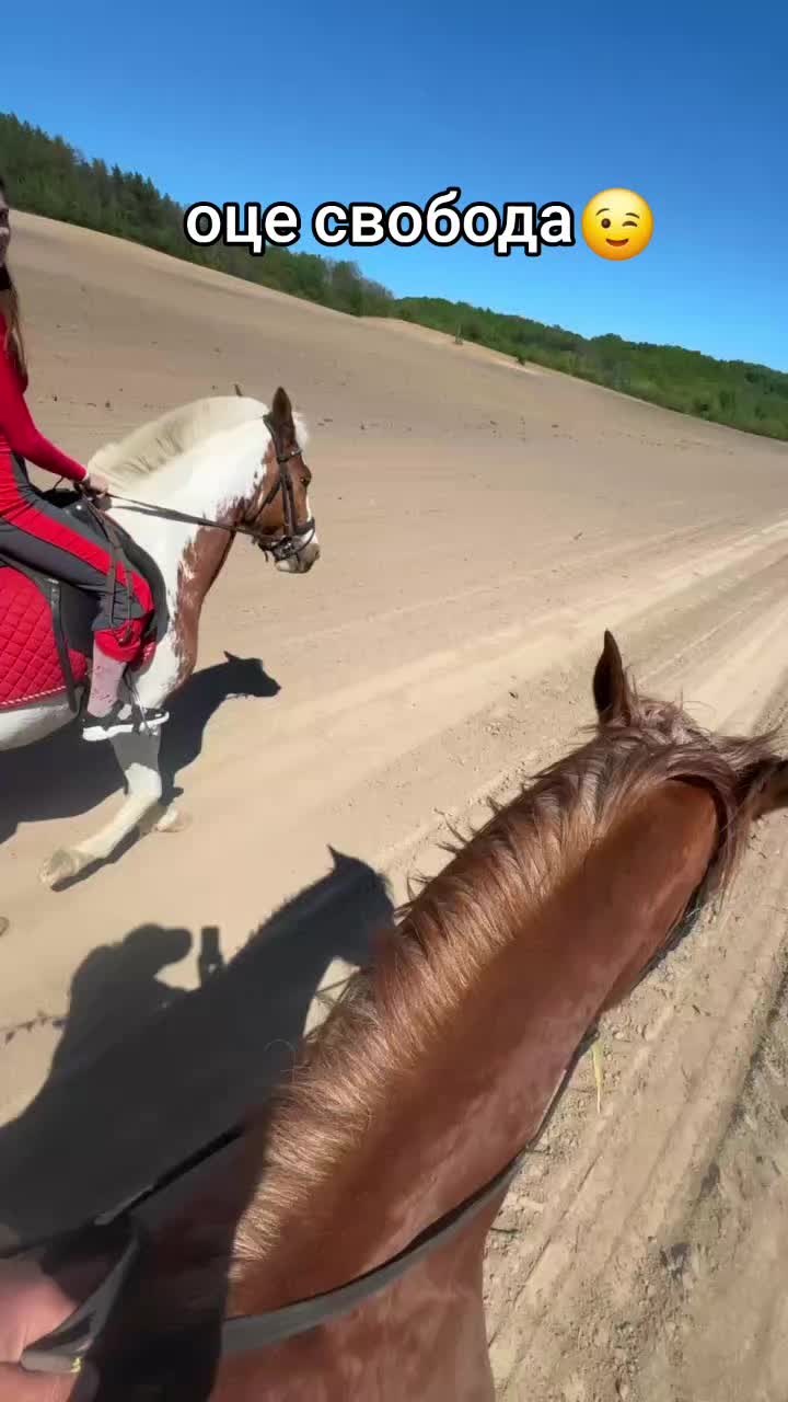 @Катерина Германюк