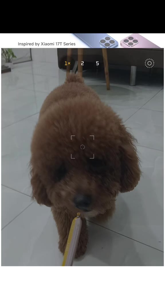 @𝐂𝐄𝐍𝐀 𝐕𝐍🇻🇳