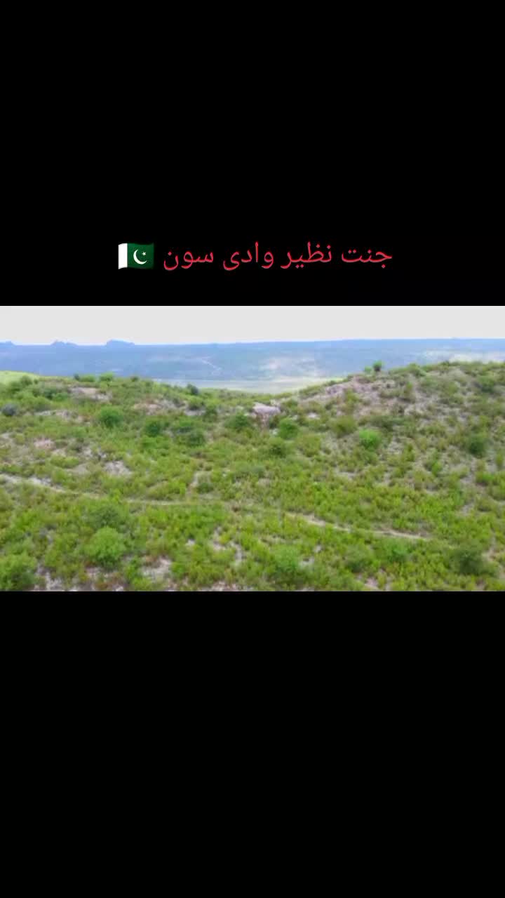 @سون ویلی 🌹