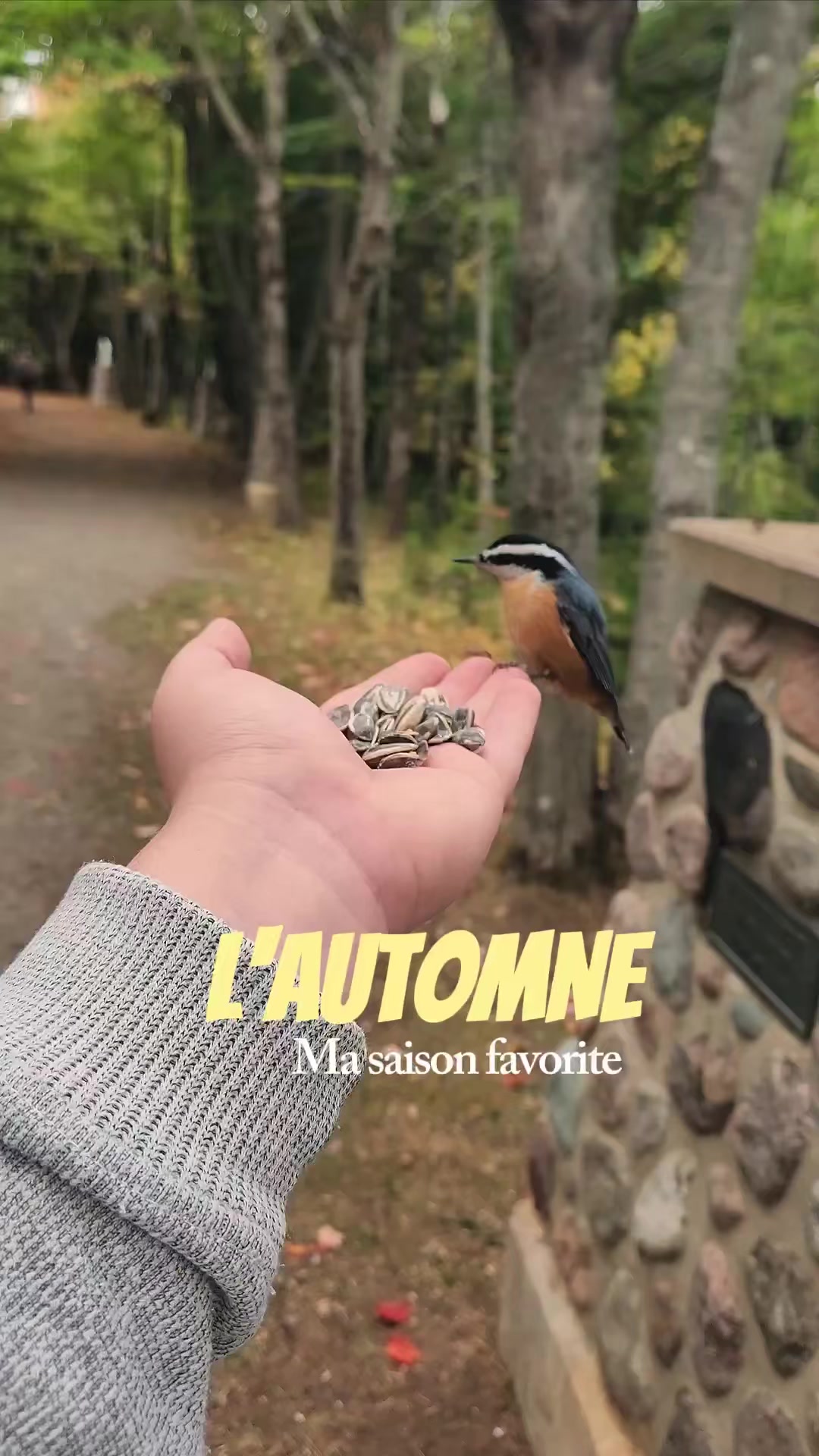 @La Fille de l'&Icirc;le