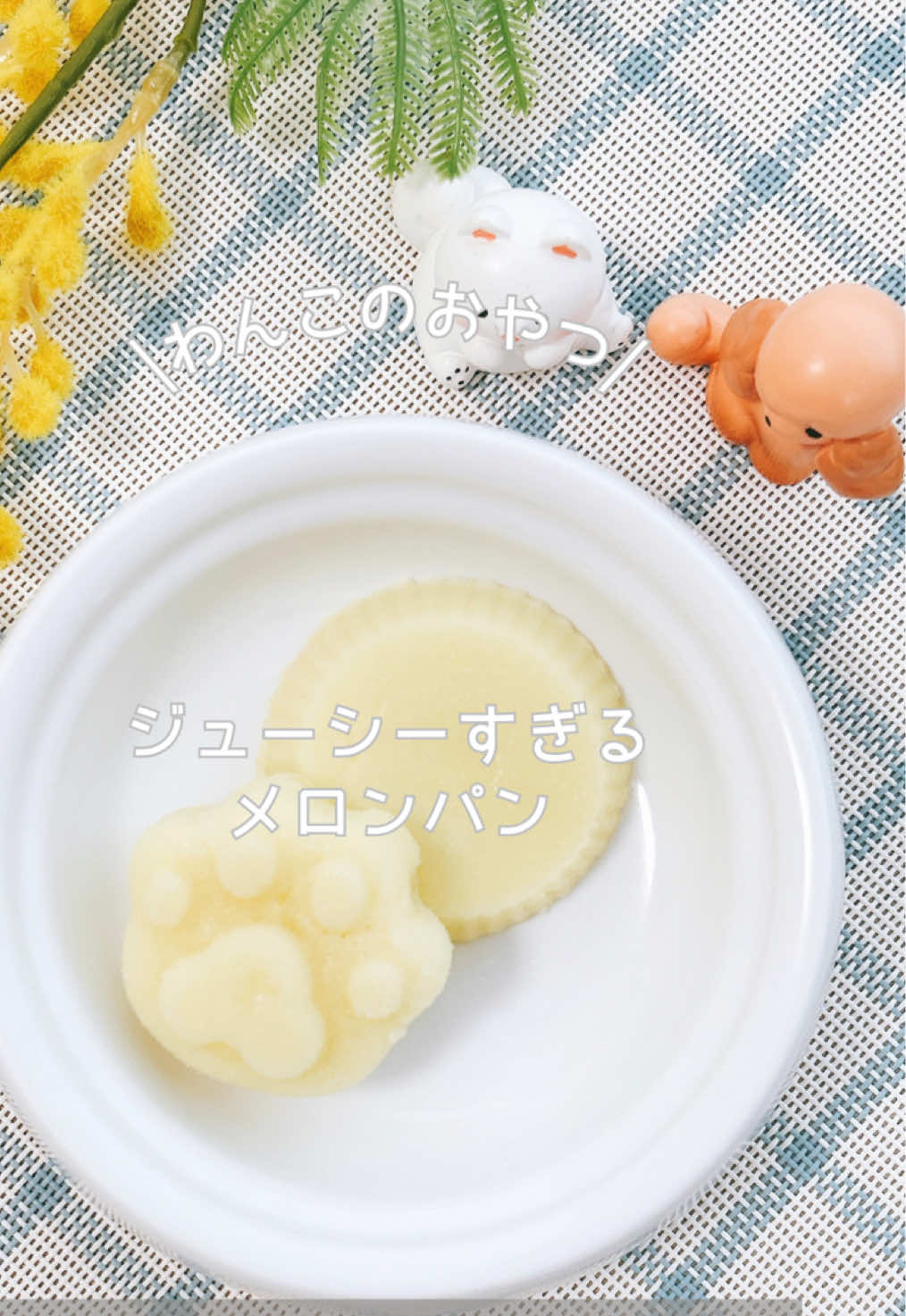 @ゆきえもん|手作り愛犬おやつ