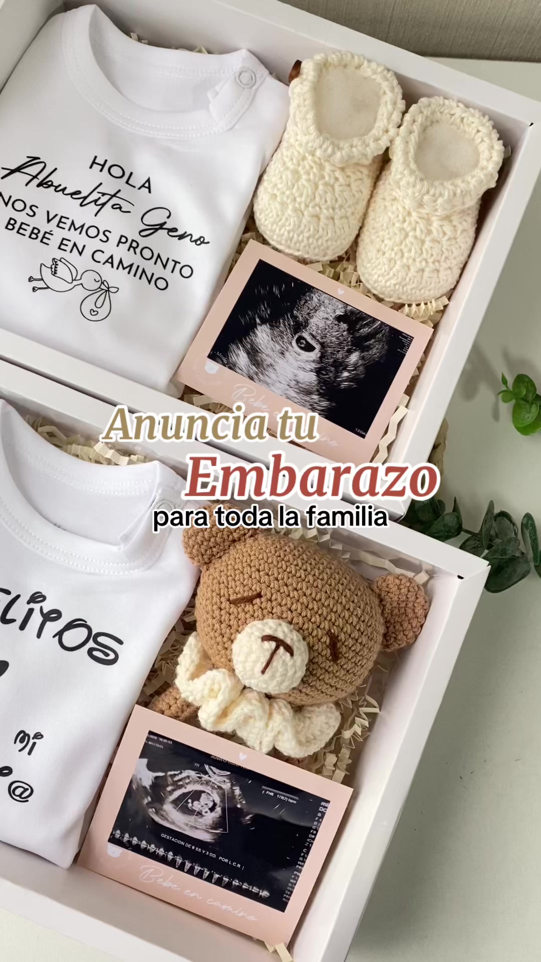 @Modo Teddy