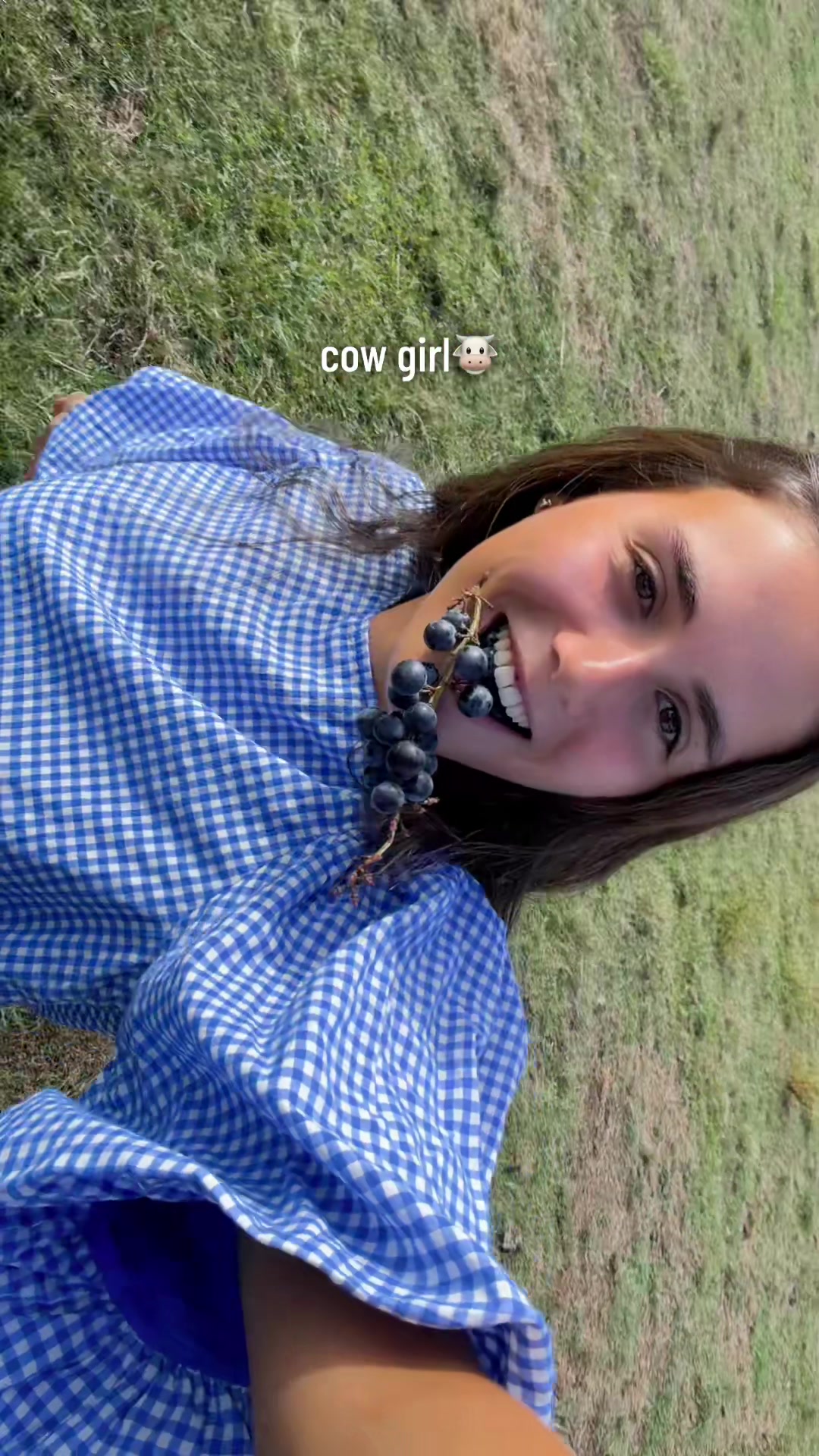 @laura