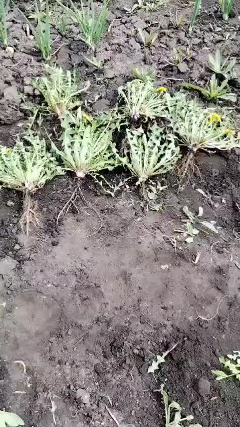 @Юленька