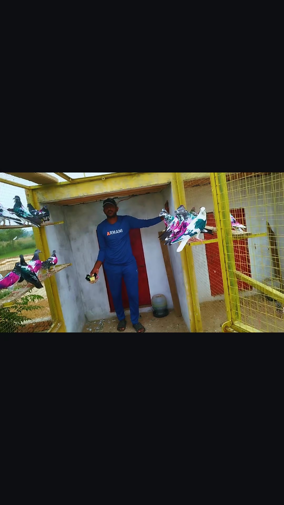@Babar Pigeons Club