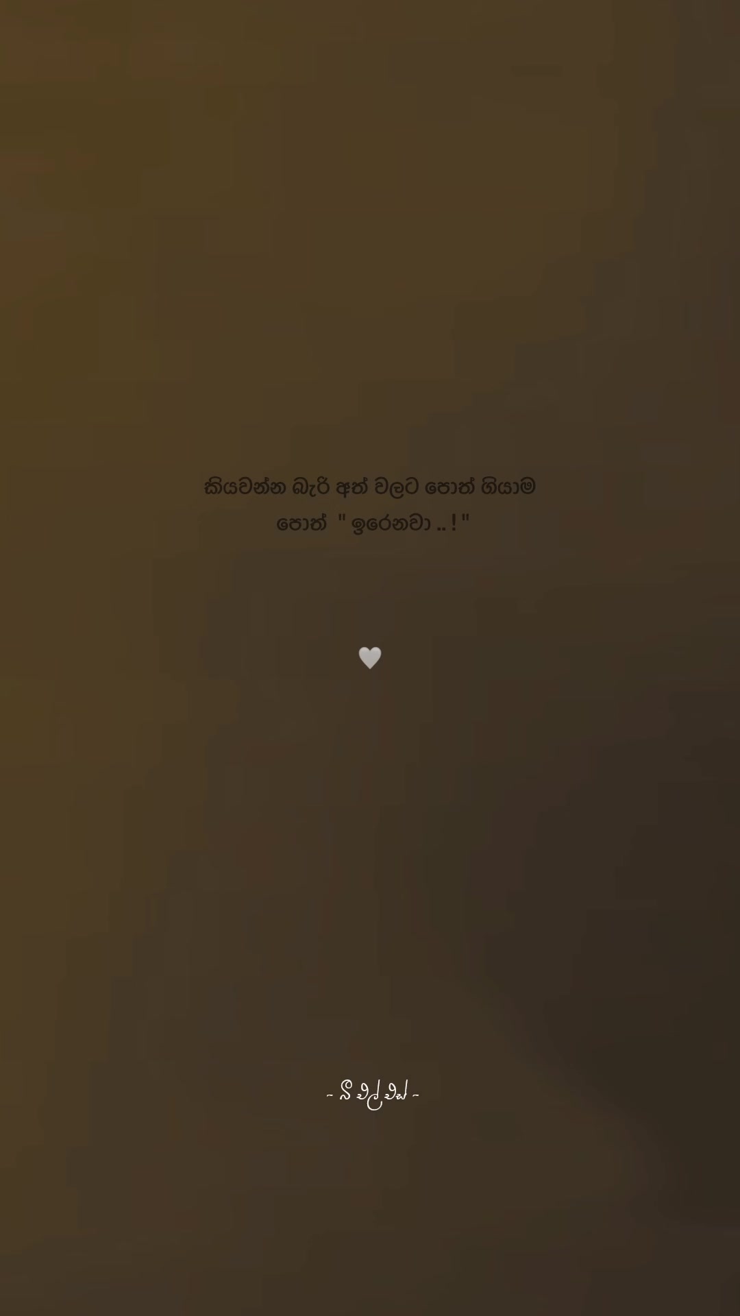 @𝒯𝒽𝑒 𝐵𝓁𝓈 ♡ !