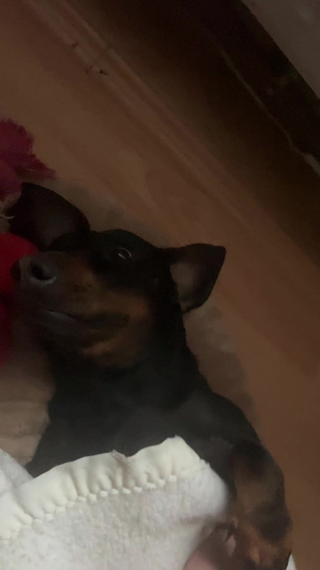 @a
