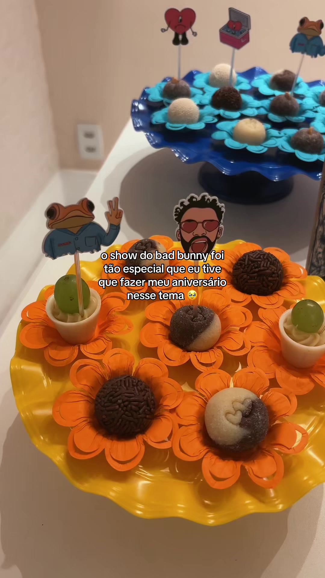 @carol carneiro