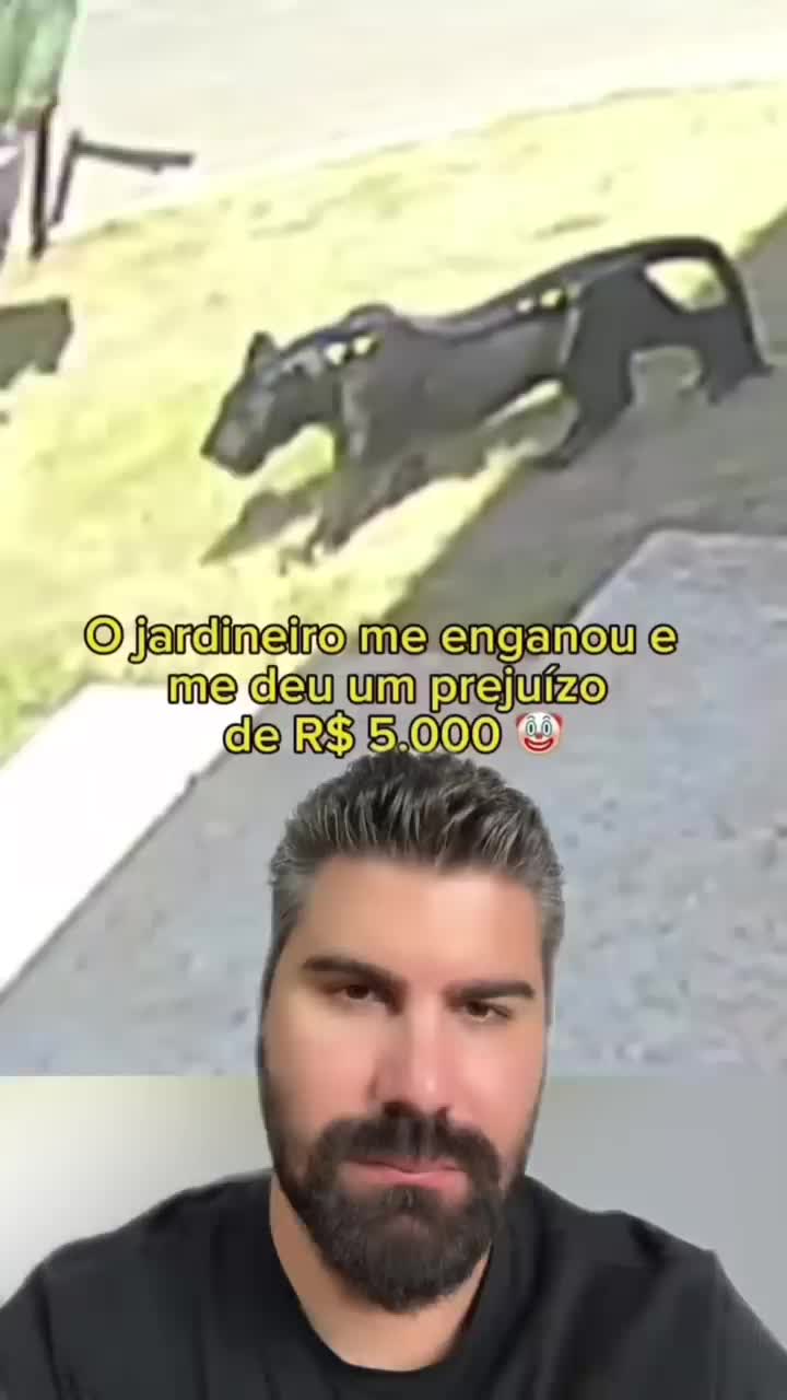 @Fernando Chagas | Advogado