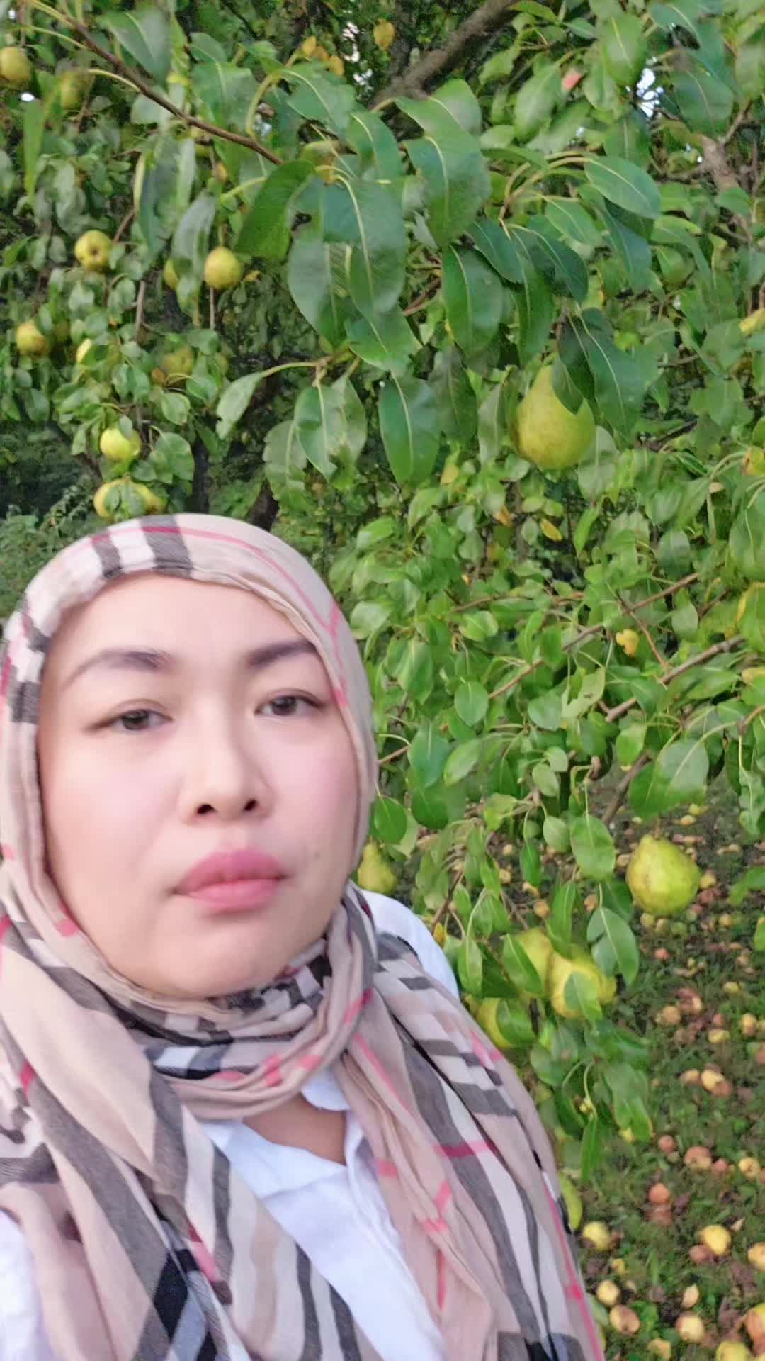 @TanteEchiDisini