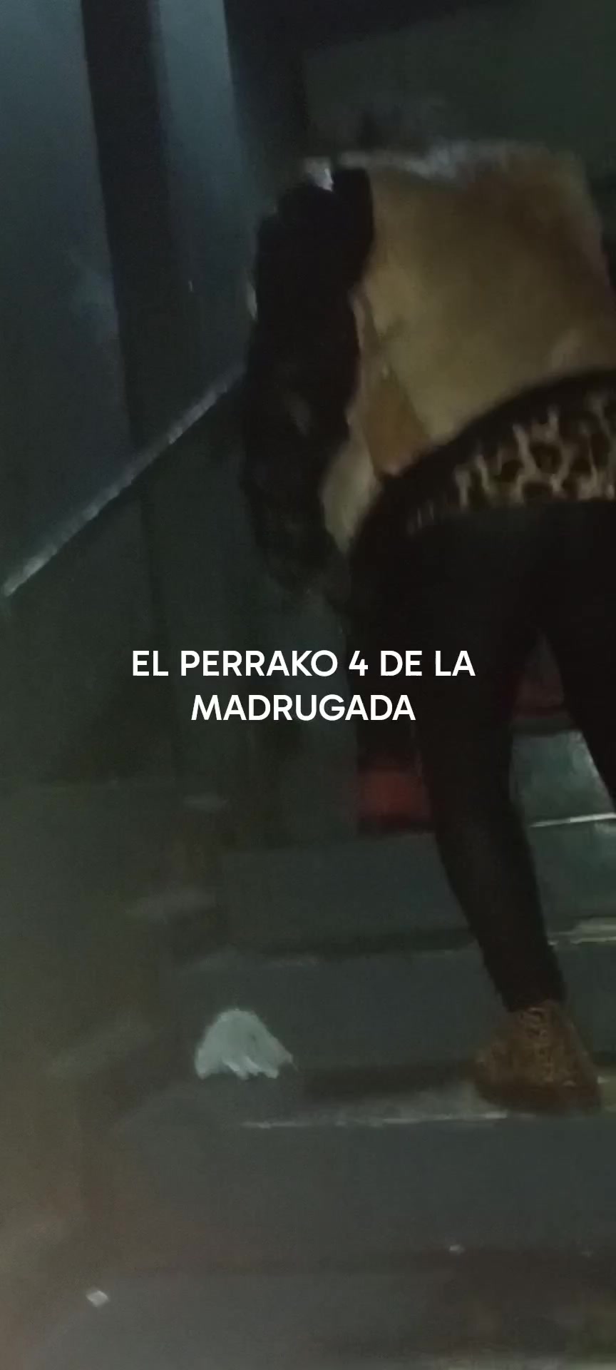 @DinosaurioToshi123