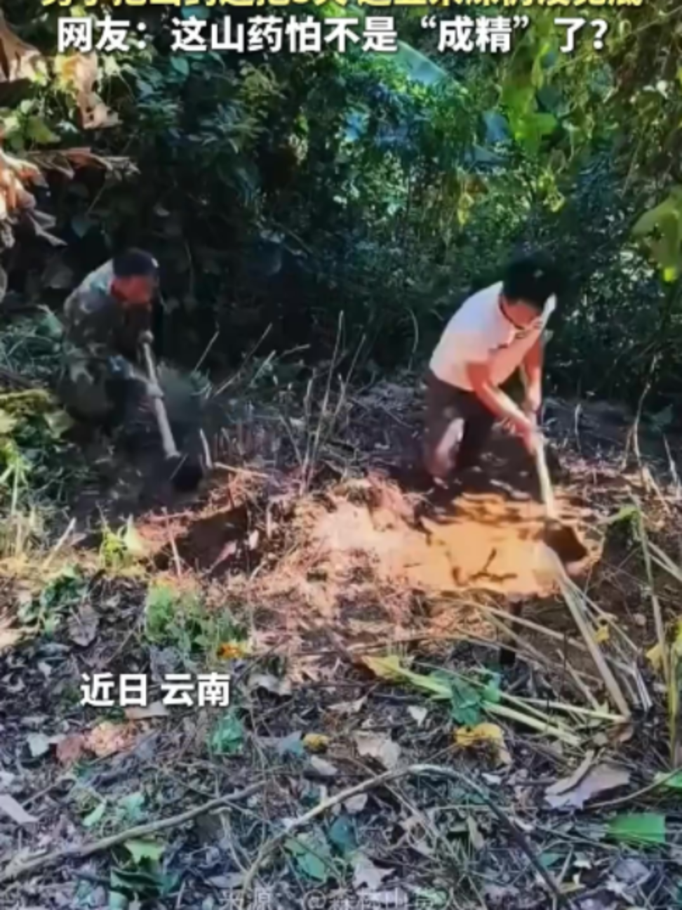 @中国蓝国际
